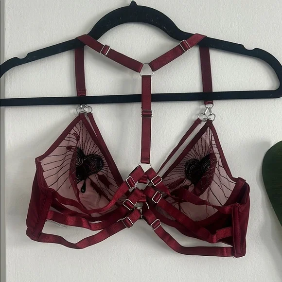 Thistle and Spire Red Strappy Mesh Bra - Picture 2 of 3